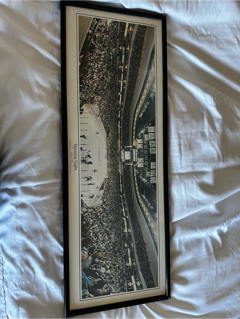 Hockey Boston Bruins Fleet Center 1995 Opening Night Panoramic Poster 4003